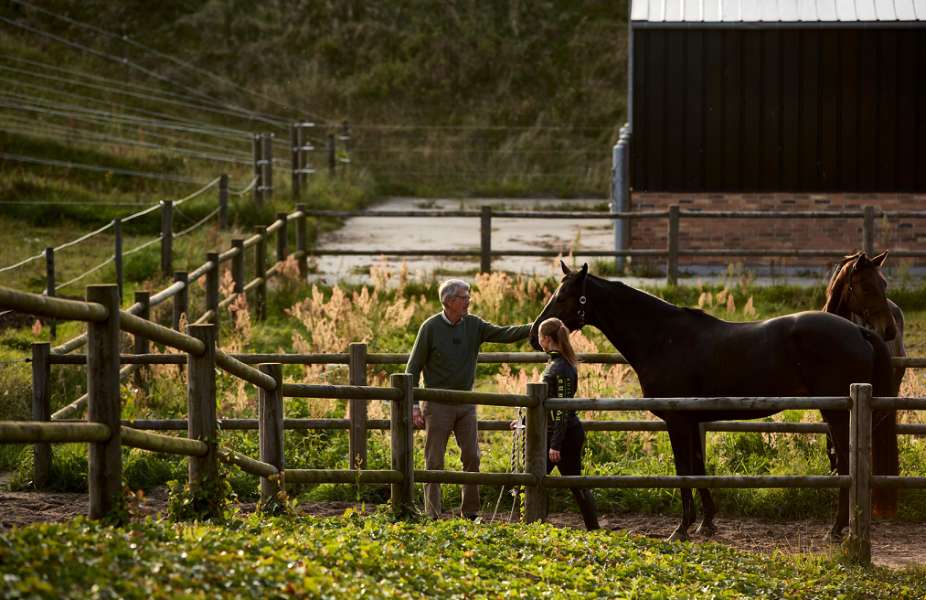 Elegant beklædning af tag og facade, Nibevej 225, Frejlev, Aalborg,
